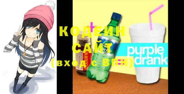 дмт Осинники