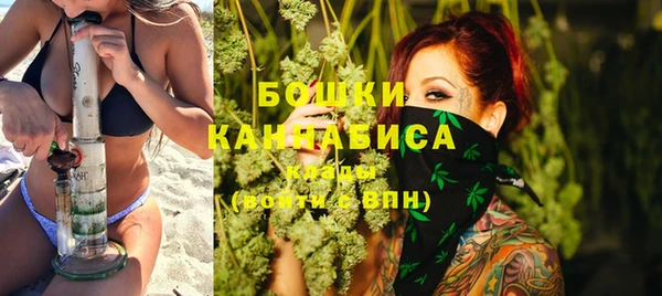 дмт Осинники