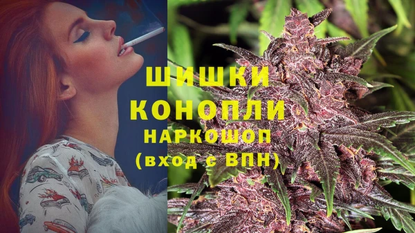 дмт Осинники