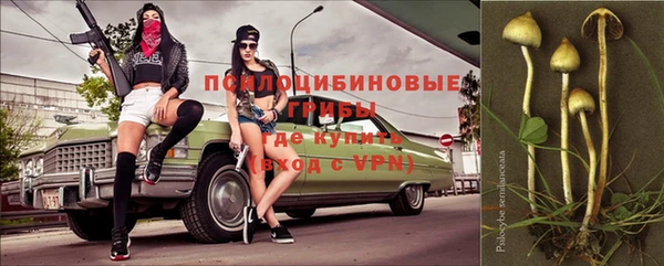 дмт Осинники