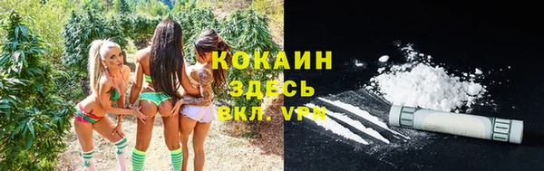 дмт Осинники