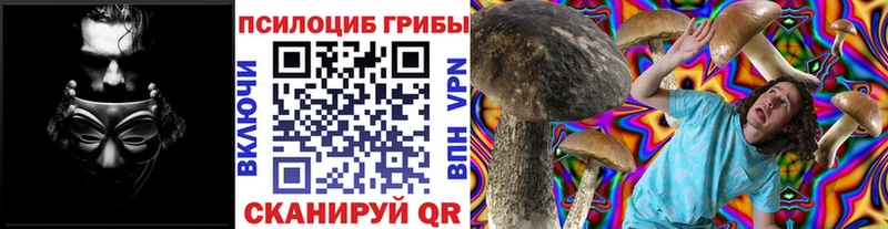 магазин продажи наркотиков  Шилка  Галлюциногенные грибы MAGIC MUSHROOMS 